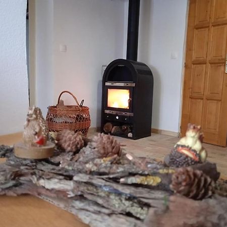 Apartament Recece Vendeghaz Gyepukajan Zewnętrze zdjęcie
